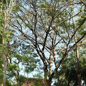 Villa Rumah Jah Langkawi, Pantai Cenang (Langkawi)